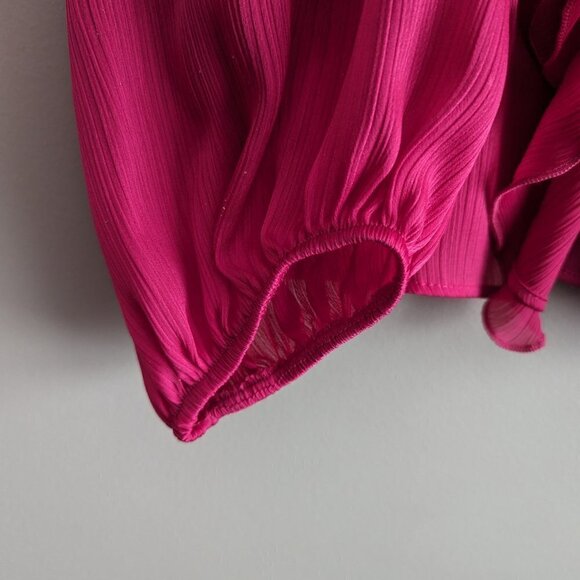 Zara Ruffled Pink Blouse - Picture 9 of 12